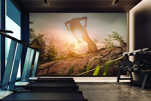 aspex-wall-protection-fitness-room